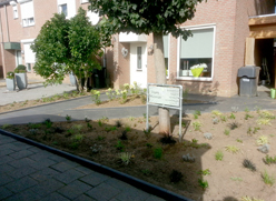 Voortuin